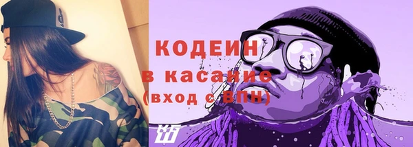 индика Волоколамск
