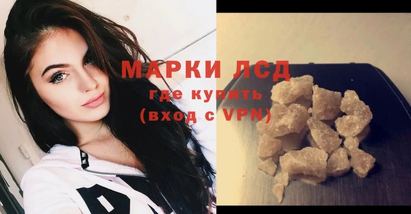 индика Волоколамск