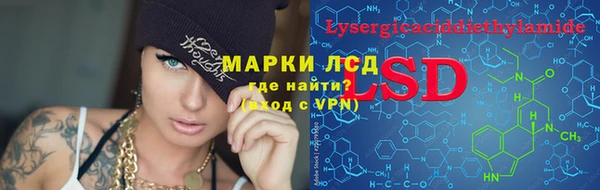 индика Волоколамск