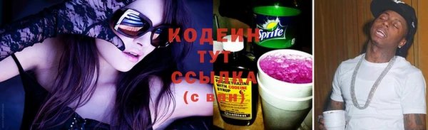 индика Волоколамск