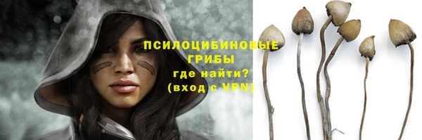 крисы Володарск