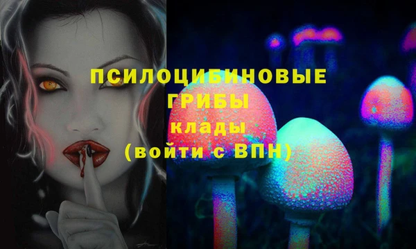 индика Волоколамск