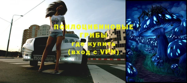 индика Волоколамск