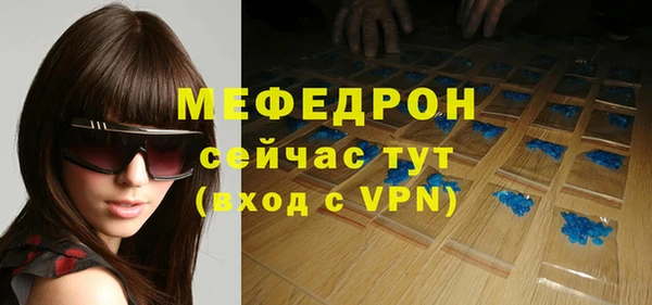 индика Волоколамск