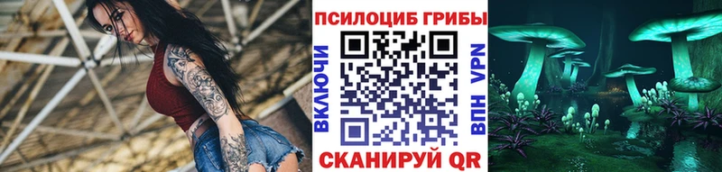 купить   Рубцовск  Галлюциногенные грибы GOLDEN TEACHER 